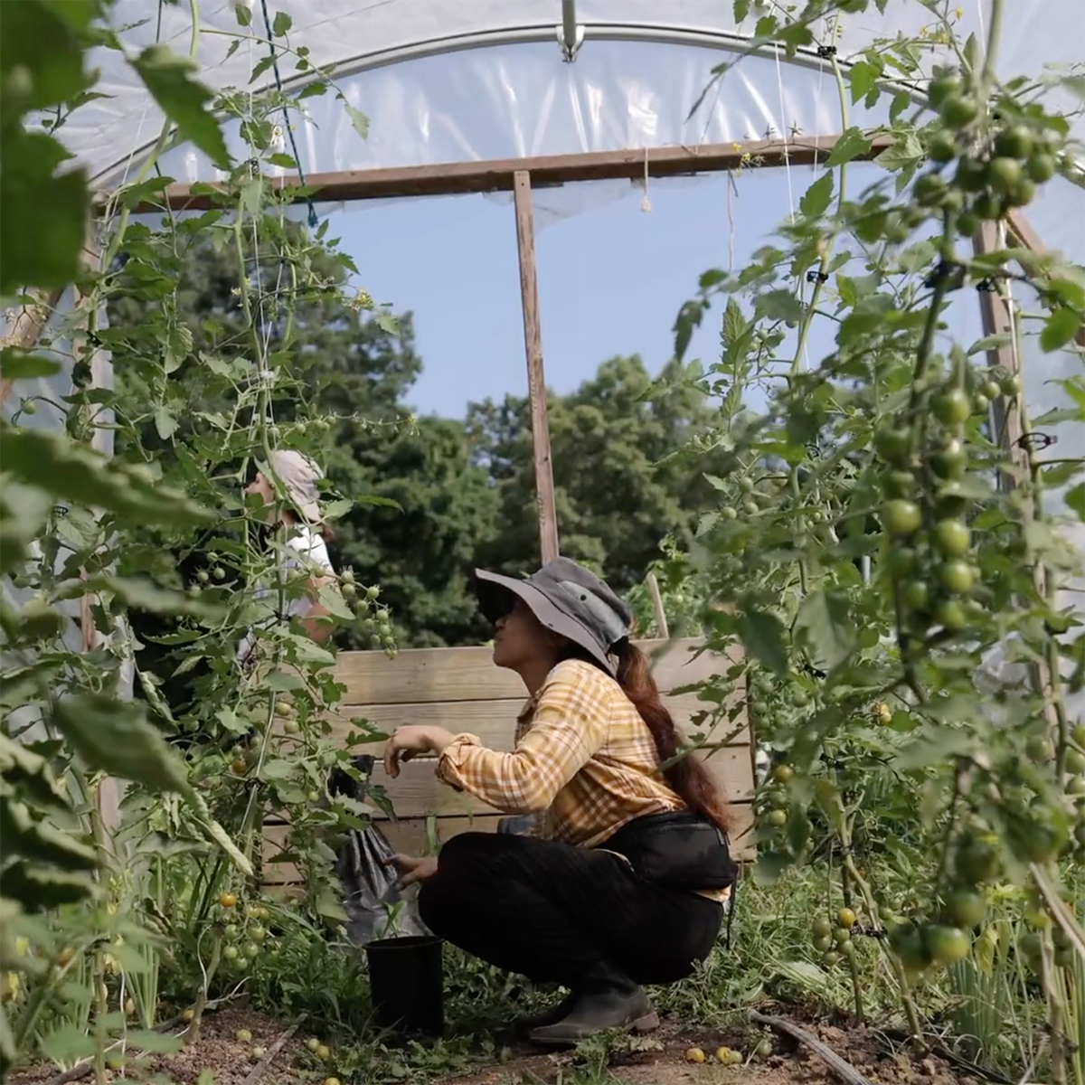 Photo of a young woman working in the agroecology garden